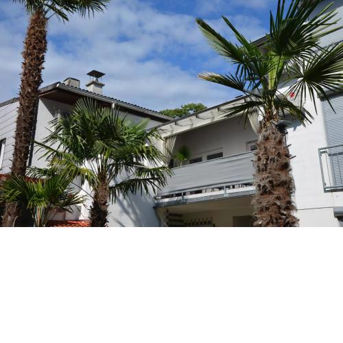 PalmGarden