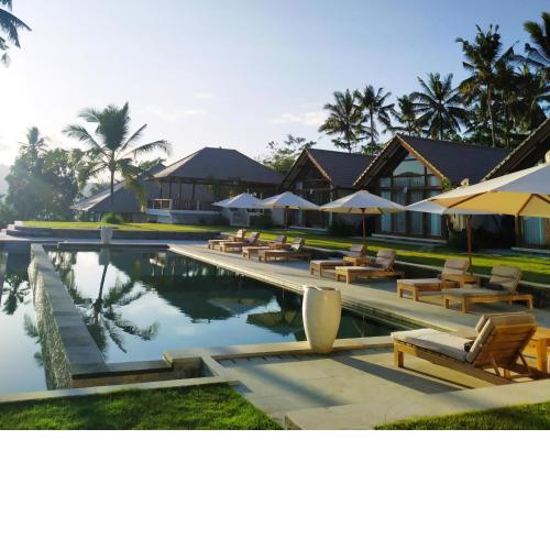 Palmterrace