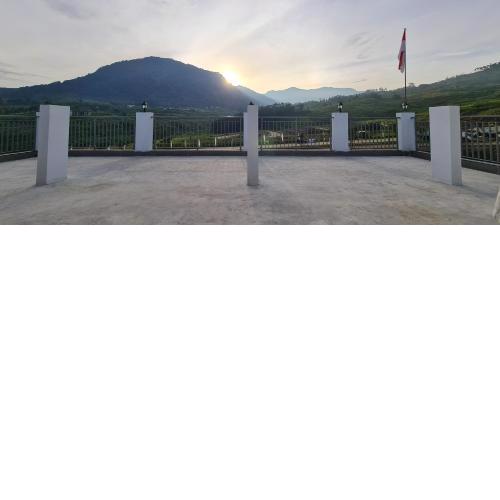 Pancar View