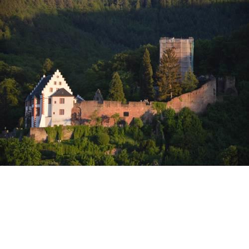 Panorama-Blick Miltenberg, 3 Pers., zentr., am Main, Terrasse, Bootverleih, P