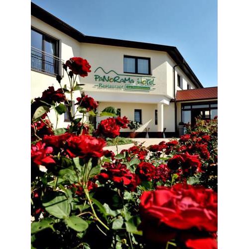 Panorama Hotel am Frankenstein