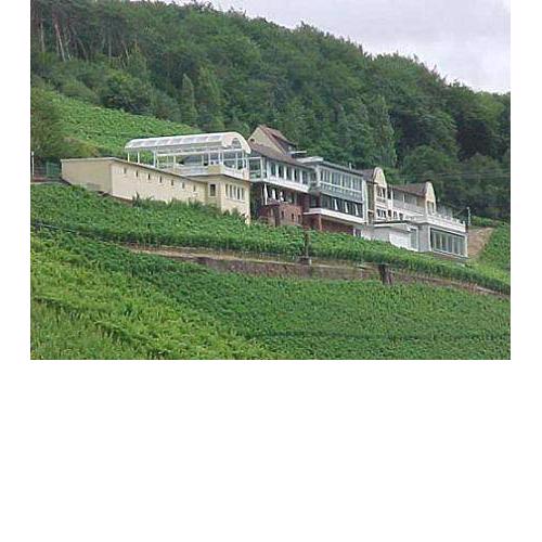 Panorama Hotel und Restaurant Schloßberg