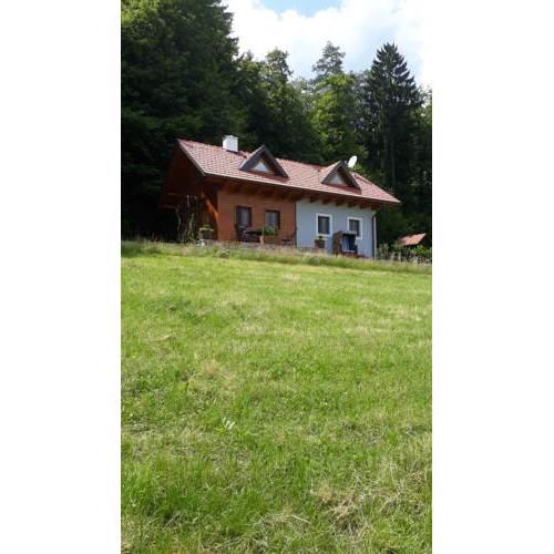 Panoramablick