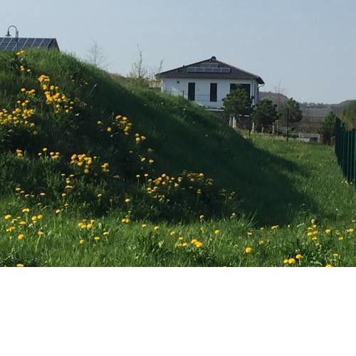 Panoramablick