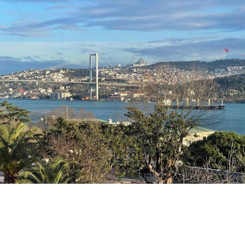 Panoramic Bosphorus View Cozy Apartment