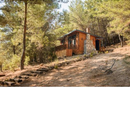 Panurla Ormanın İçinde, yüzme havuz&sauna