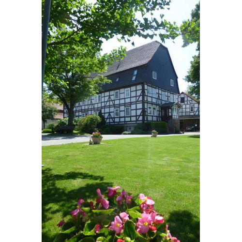 Papiermühle 1