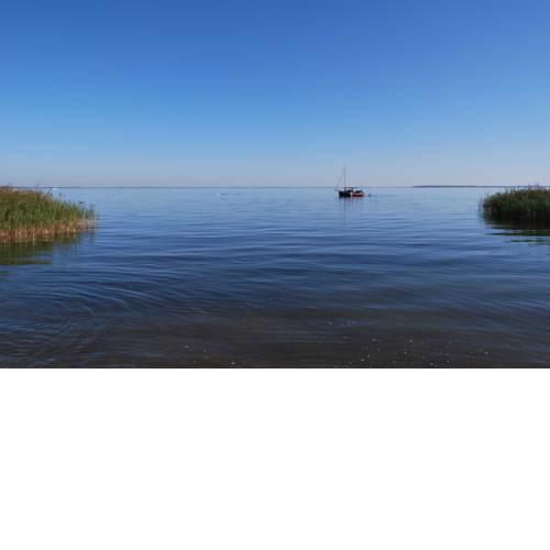 Paradies an der Mueritz