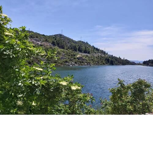 Paradise Lake Ploče