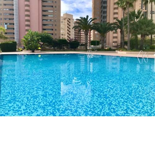 Paraiso 10 Blueline