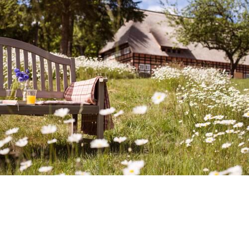 Park am See Hotel-Sports-Spirits