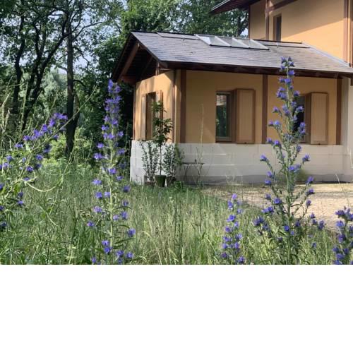 Parkchalet Atelier