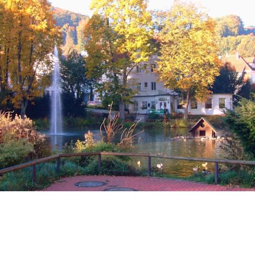 Parkhotel Am Schwanenteich