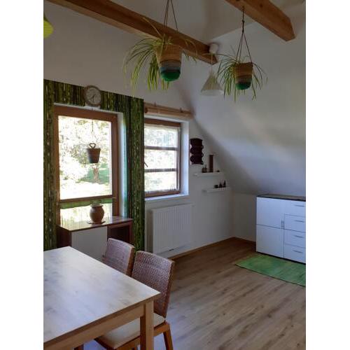 Parkvilla Appartment, Ferienwohnung