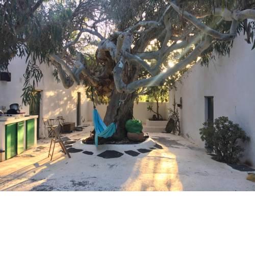 Patio I