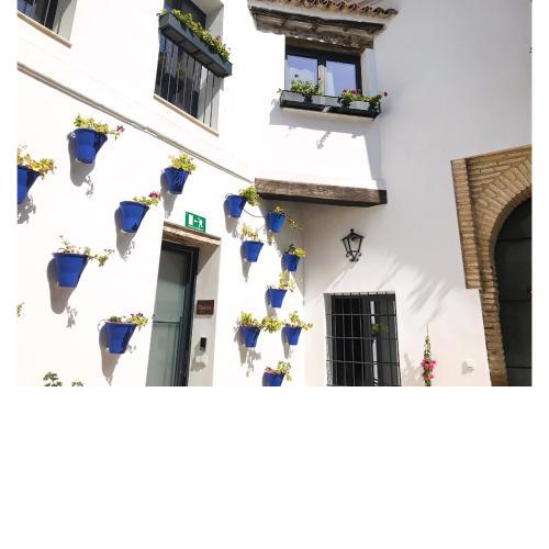 Patio San Andrés