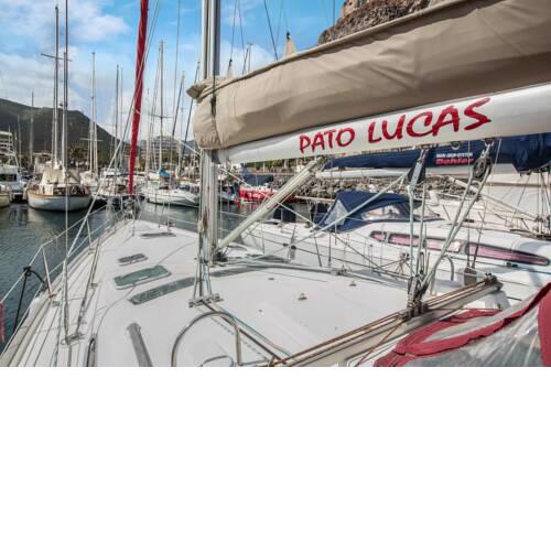 Pato Lucas Sail Boat