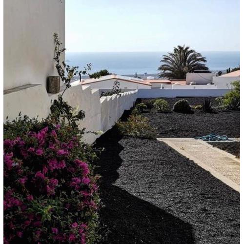 Patricia Apto- Villa Volcaland
