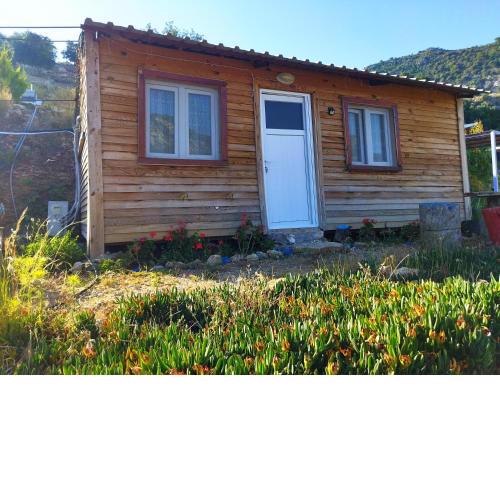 Pavlonya Bungalows