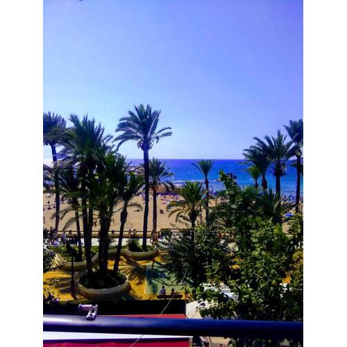 paz y tranquilidad parque del Elche, centro Benidorm frente poniente playa