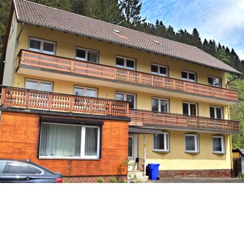 Peaceful Apartment in Wildemann near Forest
