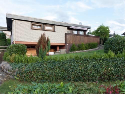 Peaceful Bungalow near Hennesee with terrace