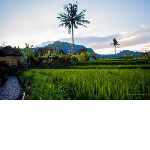 Pelangi Villas Sidemen