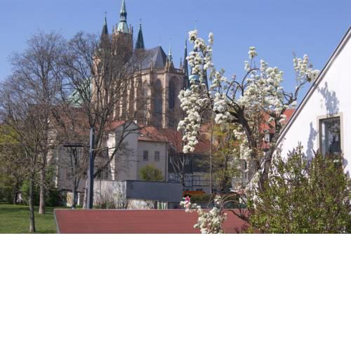 Pension am Dom