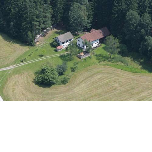 Pension am Waldesrand
