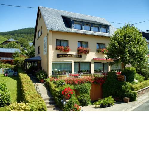 Pension Auf der Olk mit Mühle