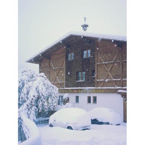 Pension Berggeist