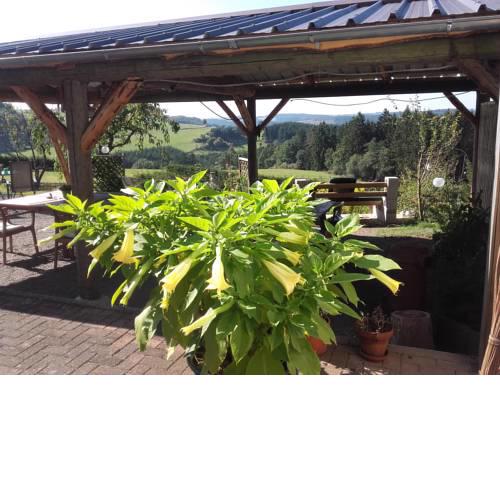 Pension Froschloch