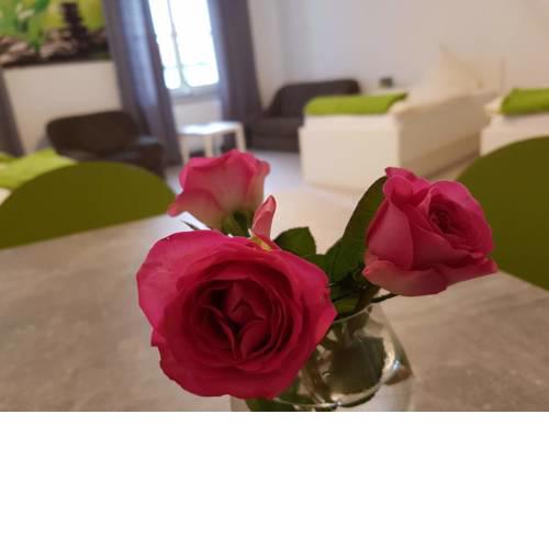 Pension Haus Werre Stern
