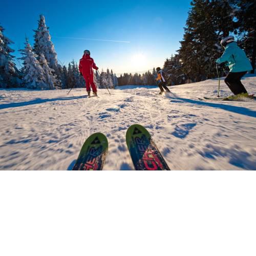 Pension Hochficht
