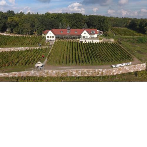 Pension Bella Vista-Winzerhof Golk