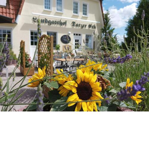 Pension Landgasthof Darzer Eck
