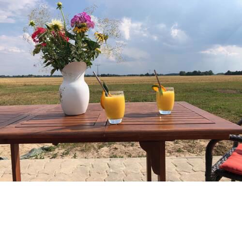 Pension Löwenzahn