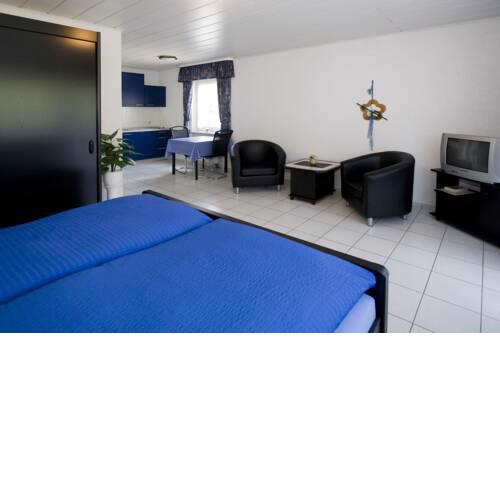 Pension Mosella , Appartement 1