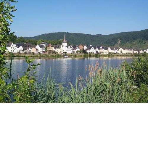 Pension Mosellablick