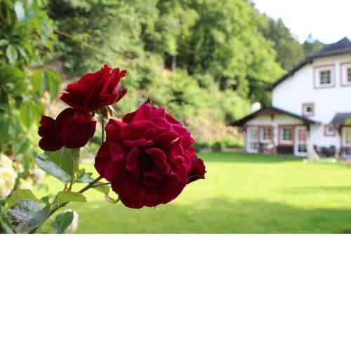 Pension Müscher Bahnhof