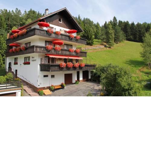 Pension Rehblick