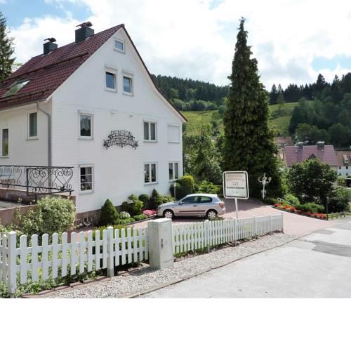 Pension Rheingold Garni