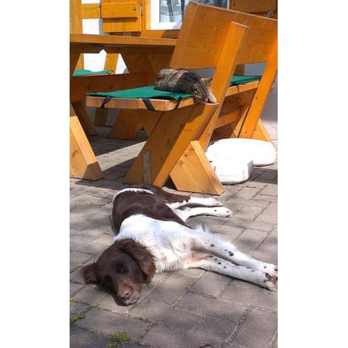 Pension Sommerfrische