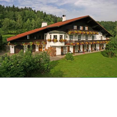 Pension Sonnleit´n - Urlaub mit Hund