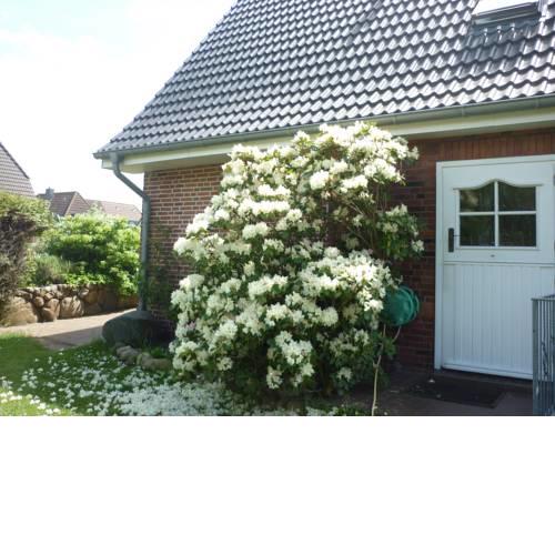 Pension Sturmmöwe