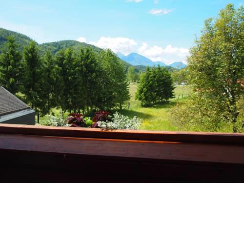 Pension Tulpe