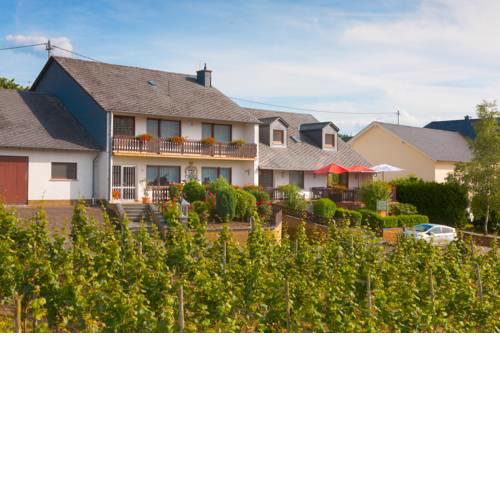 Pension und Weingut Moselblick