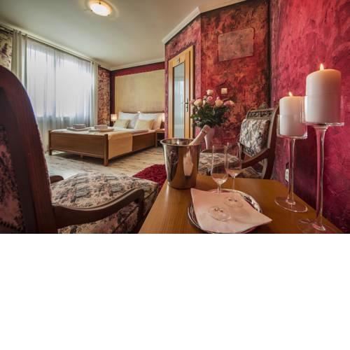 Pension Vila Mery
