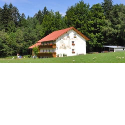 Pension Waldesruh
