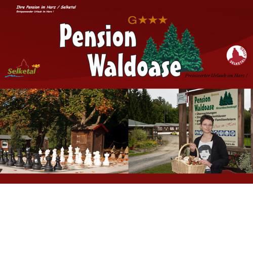 Pension Waldoase Hirschbuchenkopf